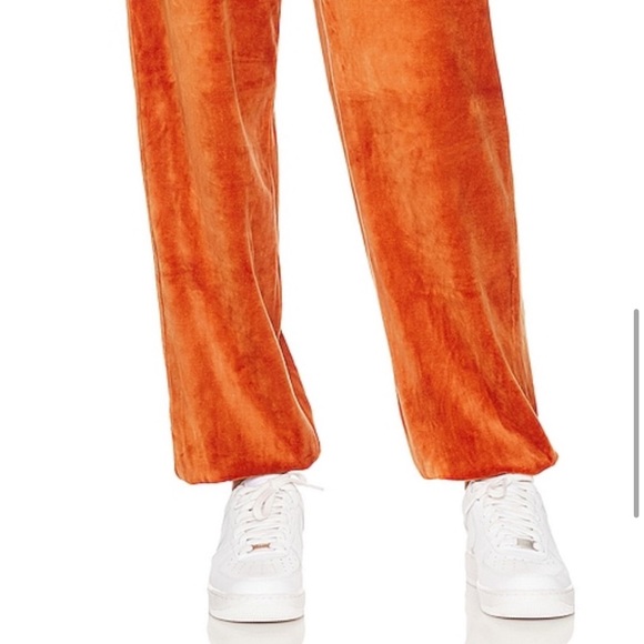Gone Viral Velour Sweatpants - Picture 8 of 10